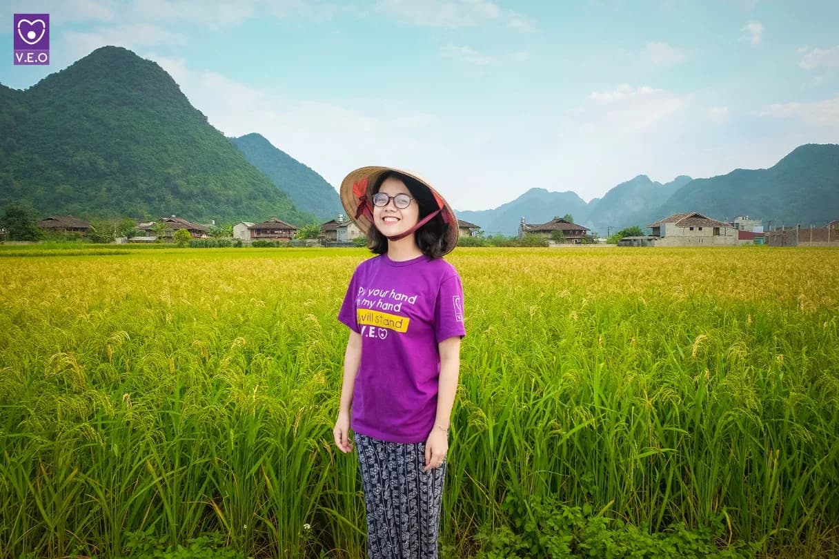 Bắc Sơn: Mùa lúa vàng ở thung lũng xanh