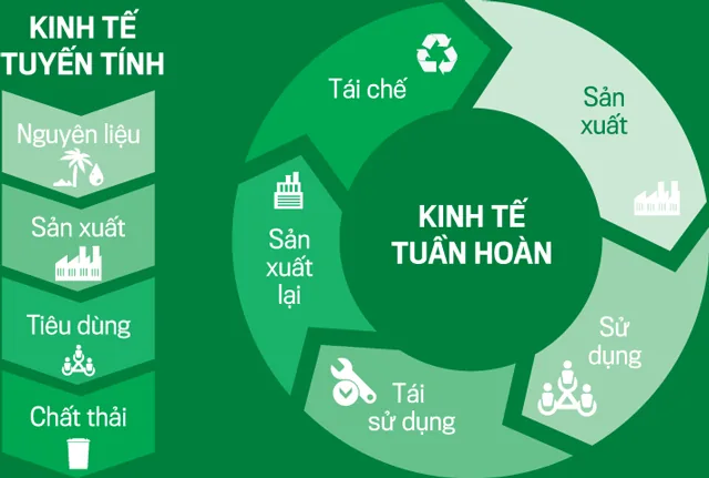 Kinh tế tuần hoàn là một trong những mô hình phát triển bền vững nổi bật nhất hiện nay