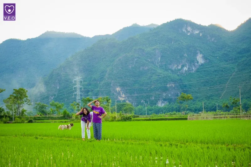 Đi xe điện tham quan 08 bản