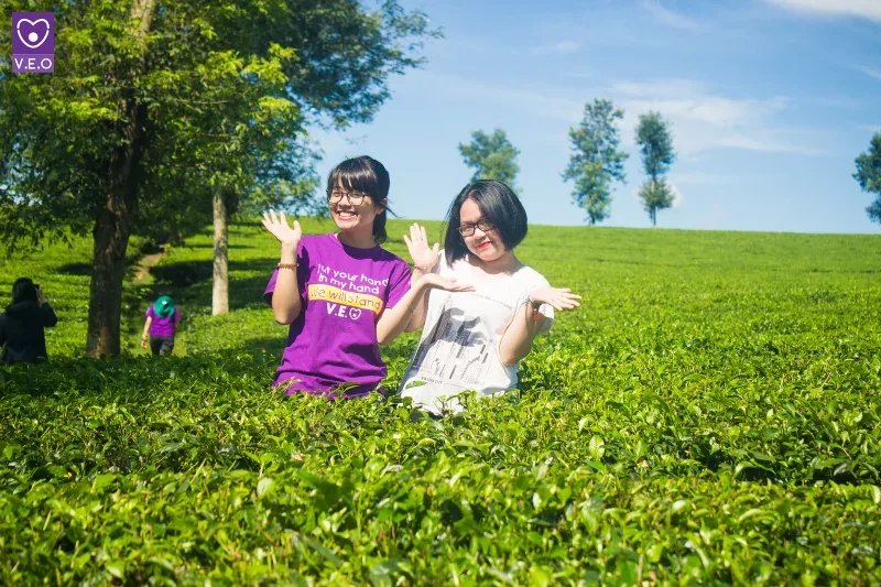 Di chuyển đến Bản Cỏi
