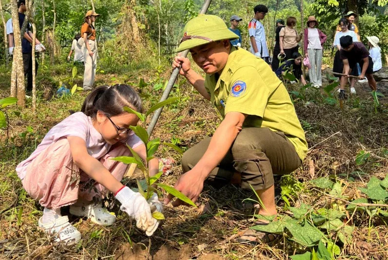 Hoạt động Gieo mầm xanh