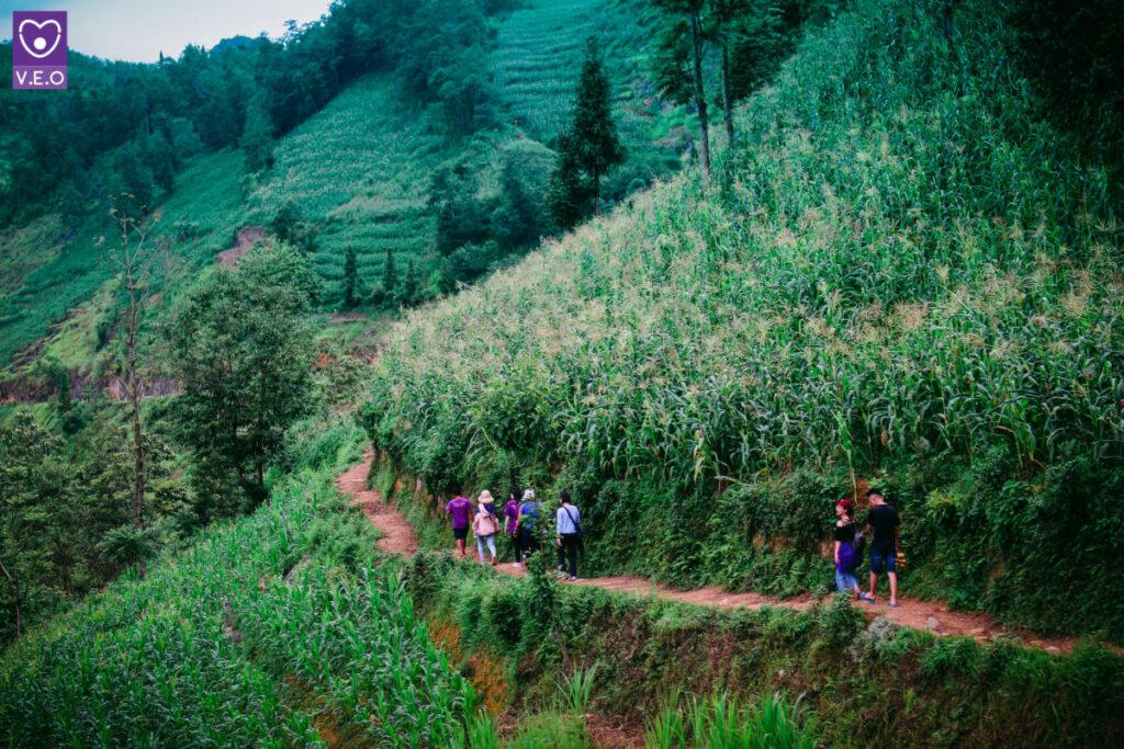 Hà Giang – vùng đất địa đầu Tổ quốc nổi bật với những cung đường đèo hiểm trở