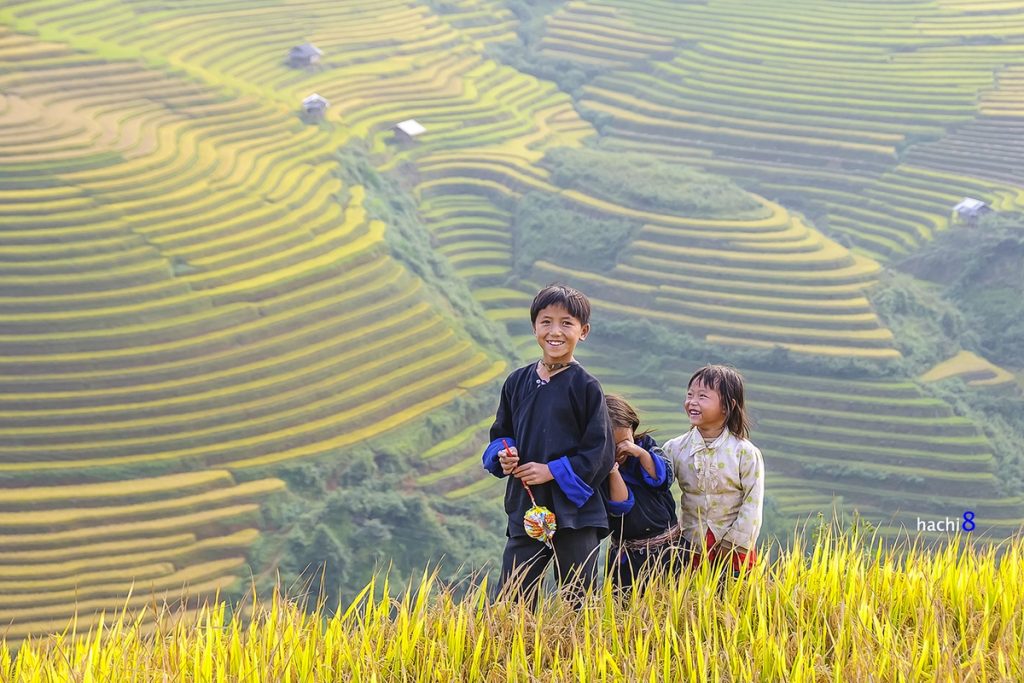 Mù Cang Chải nổi tiếng với những ruộng bậc thang vàng óng mùa lúa chín