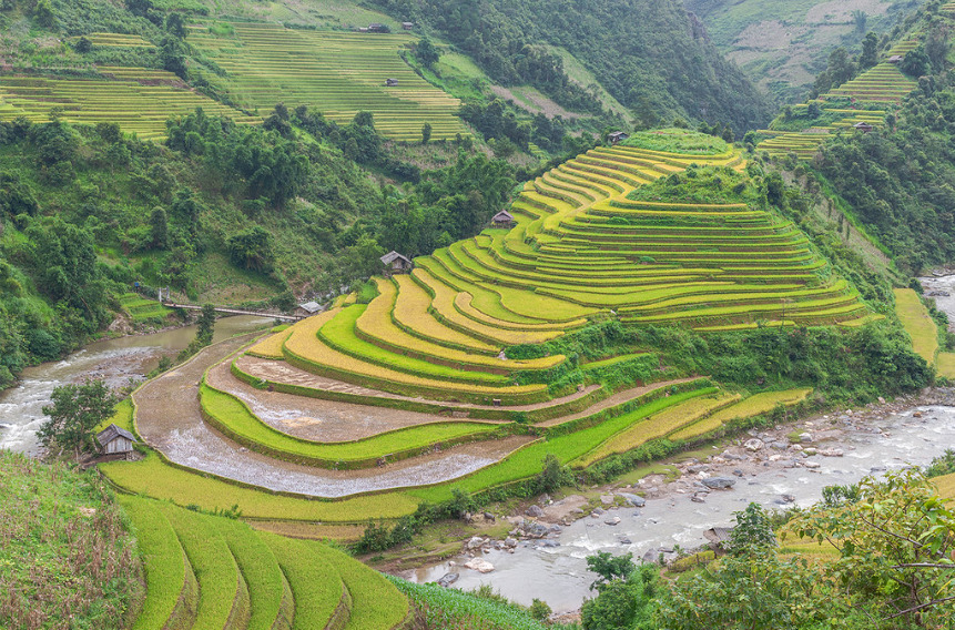 chế cu nha