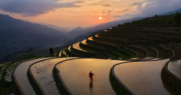 mù cang chải mùa nước đổ