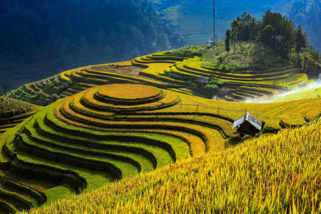 mù cang chải có gì đẹp
