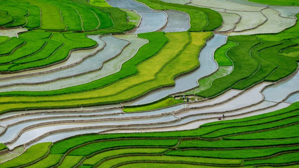 mùa nước đổ mù cang chải