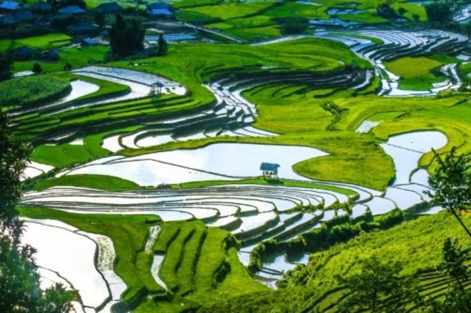 Mù Cang Chải mùa nước đổ: Khi những thửa ruộng bậc thang khoác lên mình chiếc áo mới