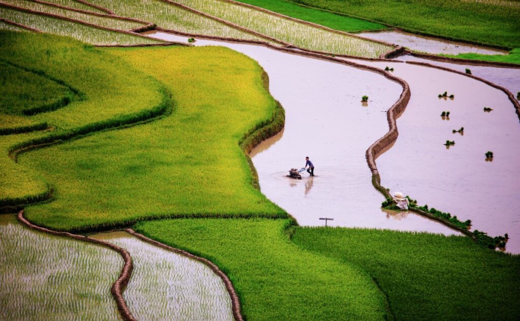 tú lệ yên bái