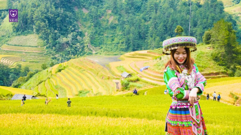 La Pán Tẩn được đánh giá là một trong những địa điểm ngắm cánh đồng lúa chín vàng đẹp nhất