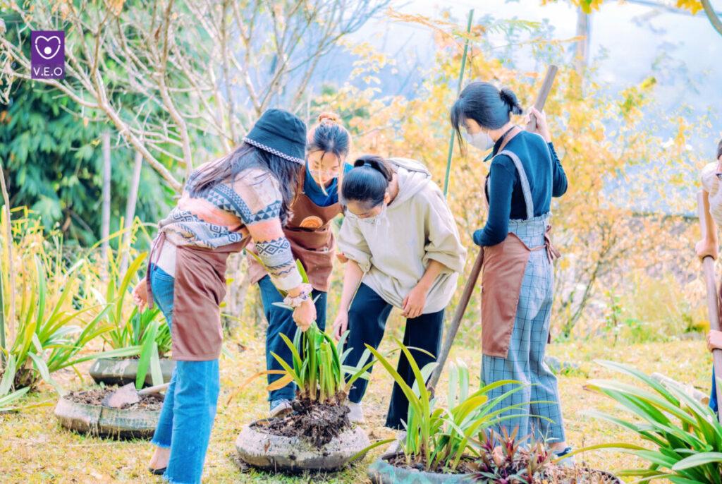 Hoạt động xã hội là những hành động, công việc mà cá nhân hoặc cộng đồng thực hiện nhằm đóng góp vào sự phát triển của xã hội