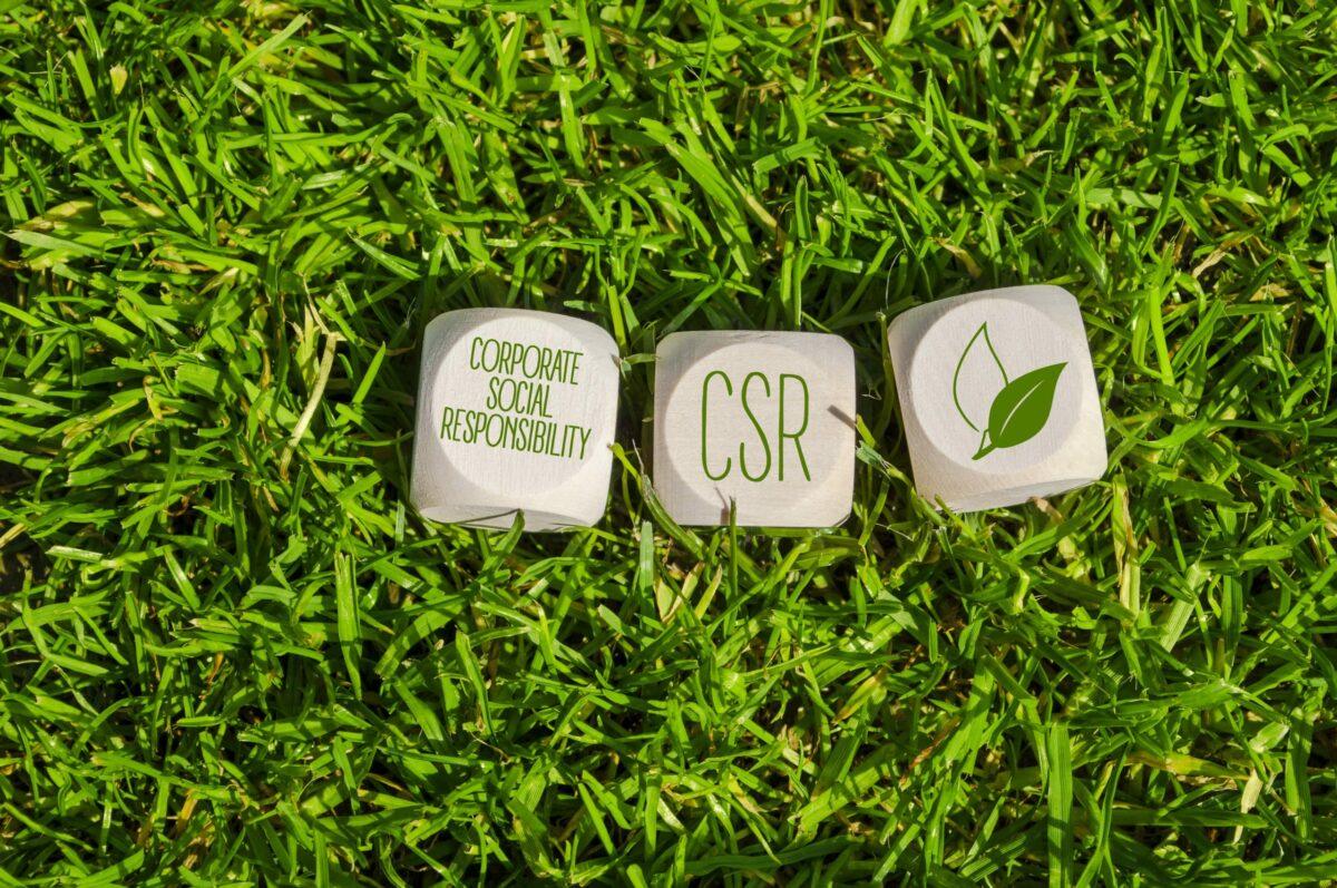 Cách xây dựng hoạt động CSR giúp phát triển doanh nghiệp bền vững