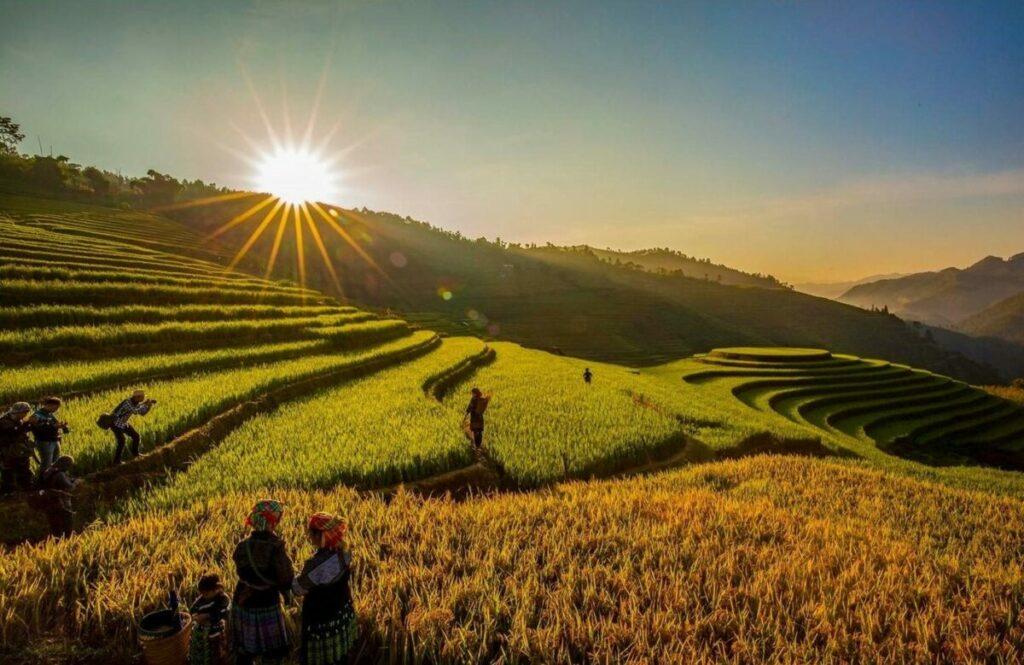 Ruộng bậc thang Mù Cang Chải đẹp nhất mùa lúa chín