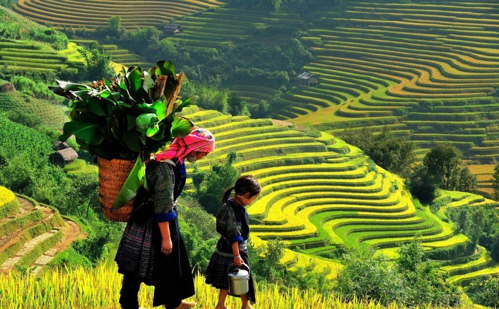 Đến với La Pán Tẩn, du khách sẽ có cơ hội khám phá và trải nghiệm cuộc sống của đồng bào người H'Mông