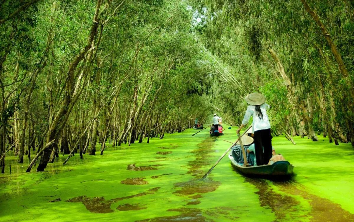 Kinh nghiệm du lịch cộng đồng ở An Giang chi tiết nhất: Đi đâu? Ăn gì?