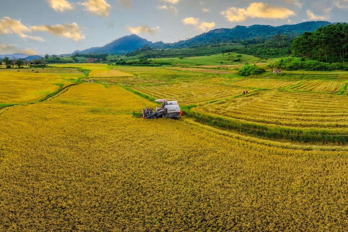 Cẩm nang du lịch Ma Bó - Lâm Đồng từ A đến Z
