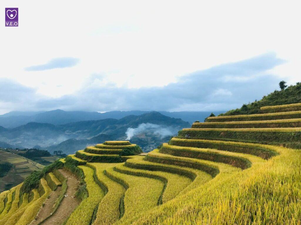Mù Cang Chải, một huyện miền núi của tỉnh Yên Bái, nổi lên như một điểm đến lý tưởng cho những tín đồ yêu thích du lịch khám phá