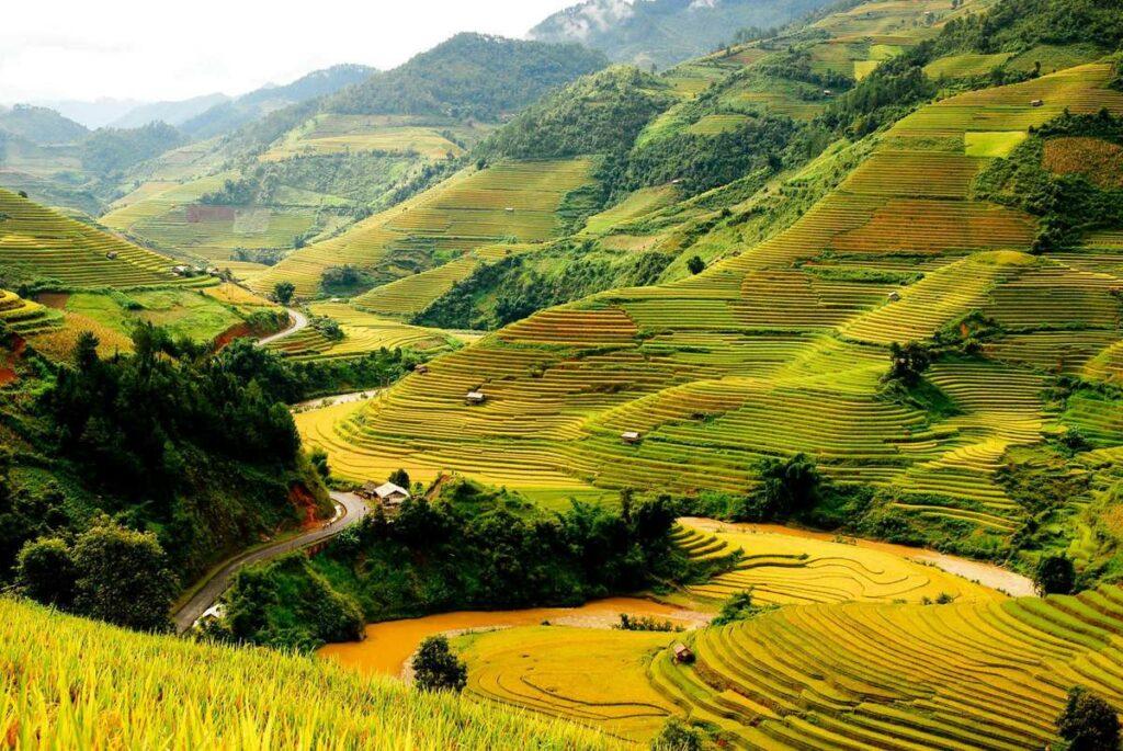 Khi lúa non lên xanh, cả sườn đồi như được phủ một màu xanh mướt mát, tràn đầy sức sống.