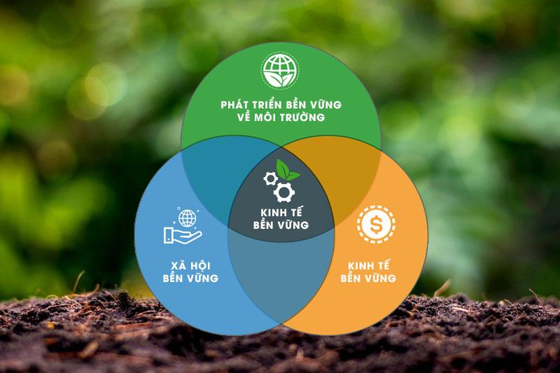 Để đạt được sự phát triển bền vững, chúng ta cần cân bằng hài hòa ba trụ cột chính: kinh tế, xã hội và môi trường