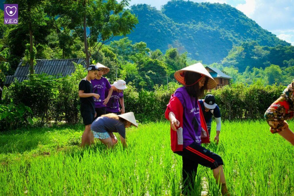 Bảo vệ môi trường luôn là vấn đề được cộng đồng quan tâm
